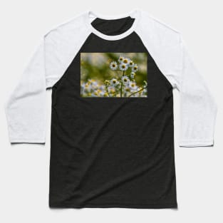 English Wild Flowers - Chamomile Baseball T-Shirt